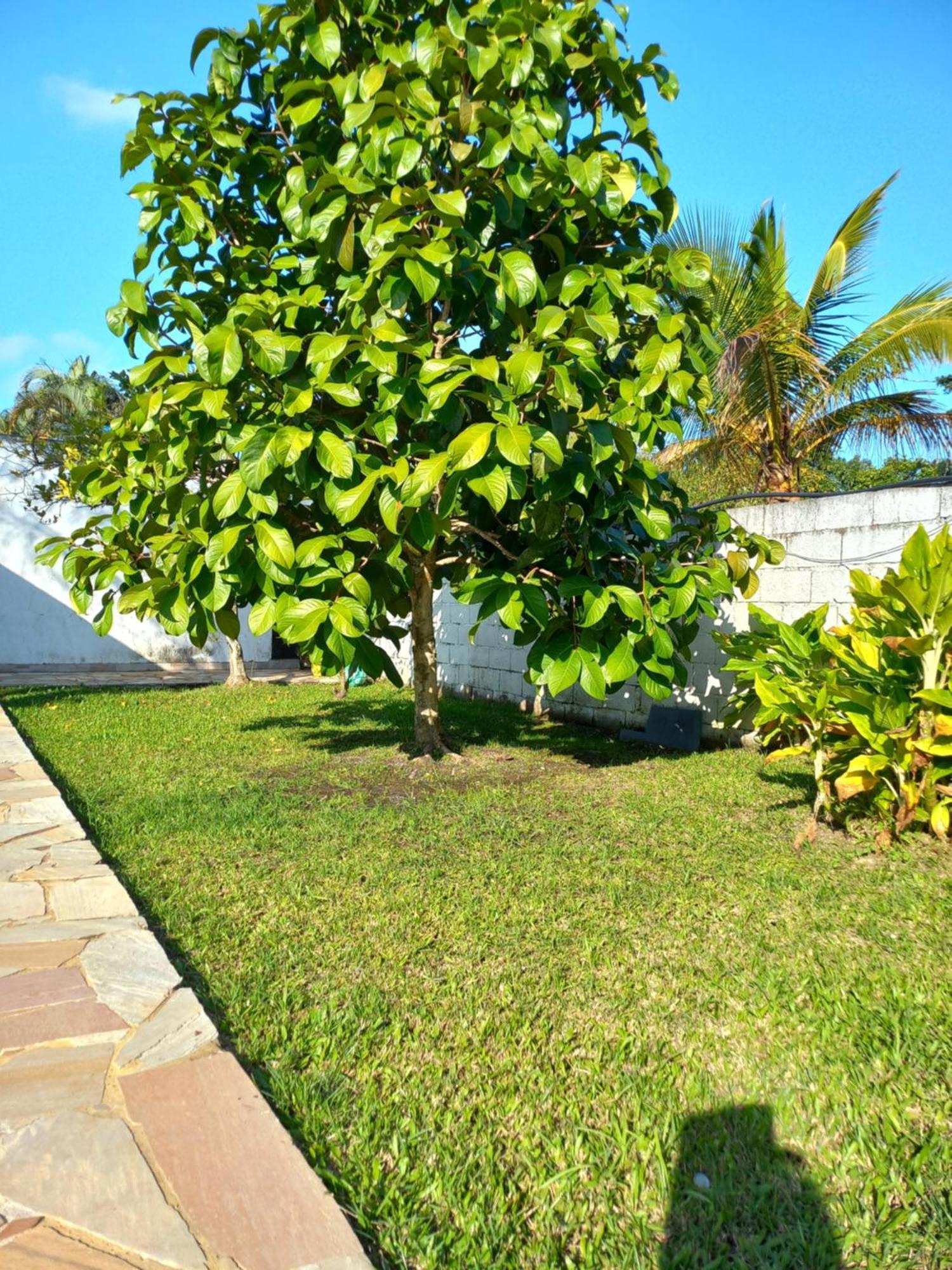 Chacara Sitio Casa Peruibe Praia Exteriér fotografie
